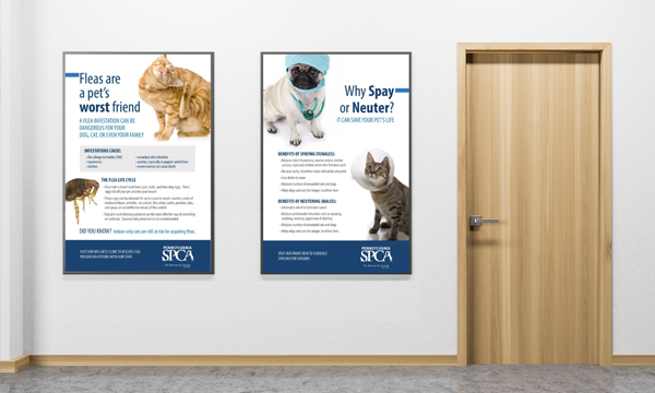 Animal Welfare Posters